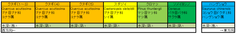 table.01 雄蛇ケ池・松田谷津北岸の水辺の植生分布（配列）